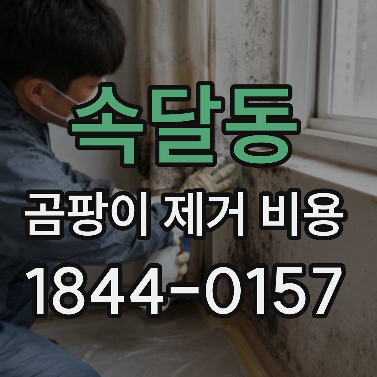 속달동 곰팡이 제거 비용