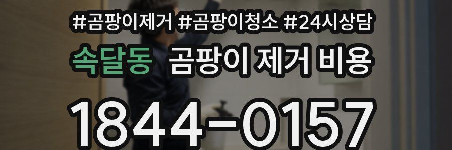 속달동 곰팡이 제거 비용