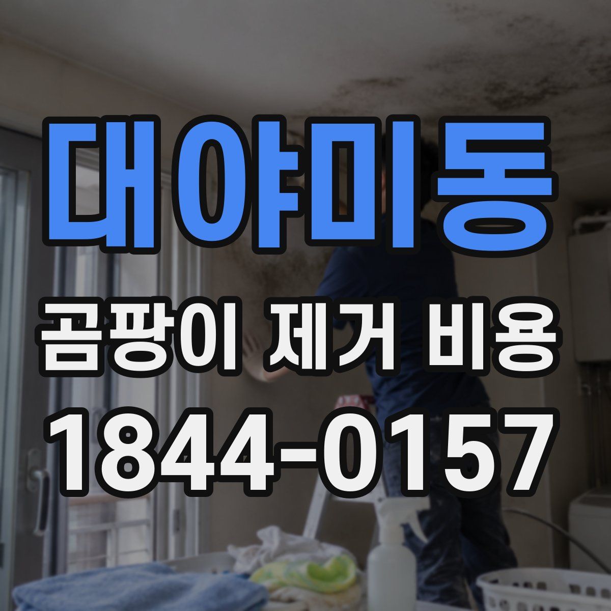 대야미동 곰팡이 제거 비용