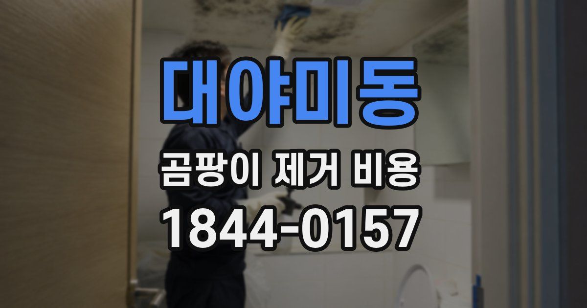 대야미동 곰팡이 제거 비용