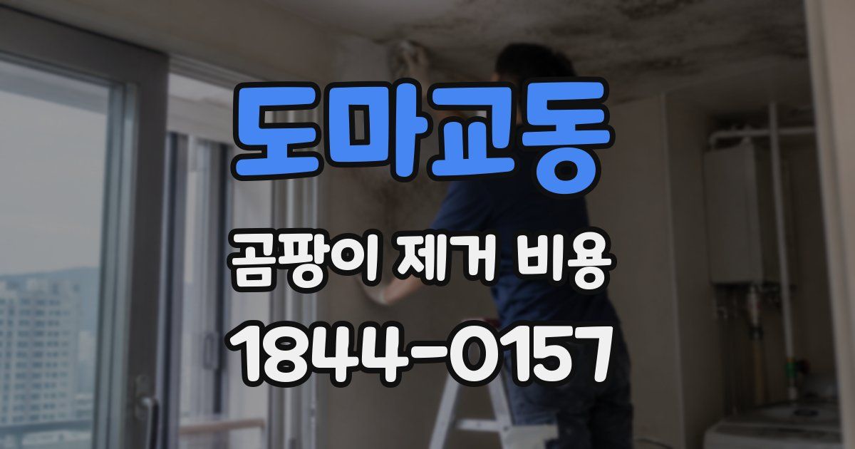 도마교동 곰팡이 제거 비용