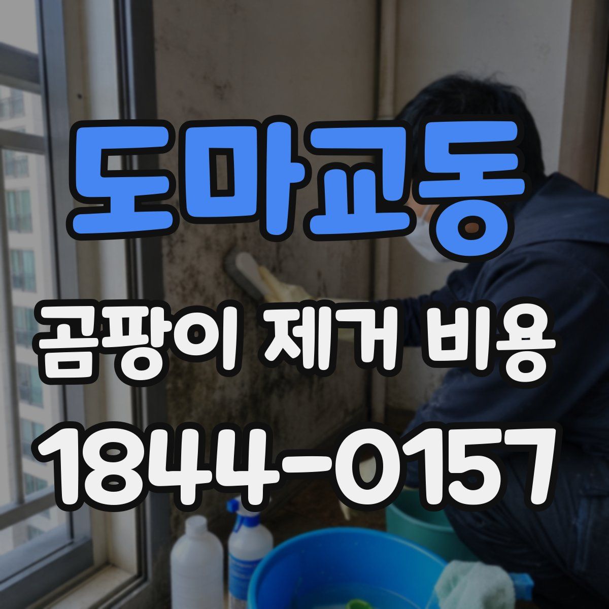 도마교동 곰팡이 제거 비용