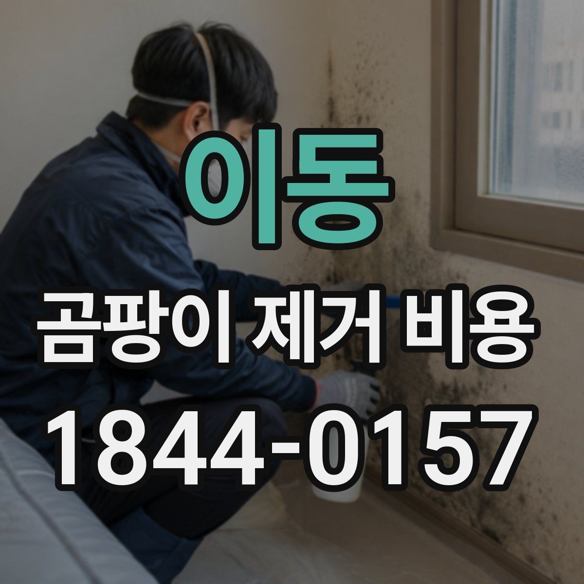 이동 곰팡이 제거 비용 복구 공사까지 포함되는 경우
