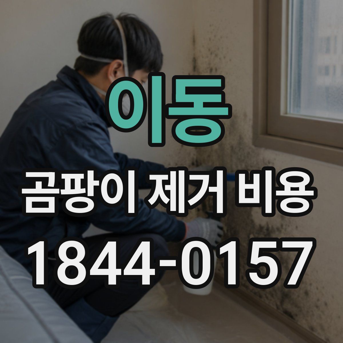 이동 곰팡이 제거 비용