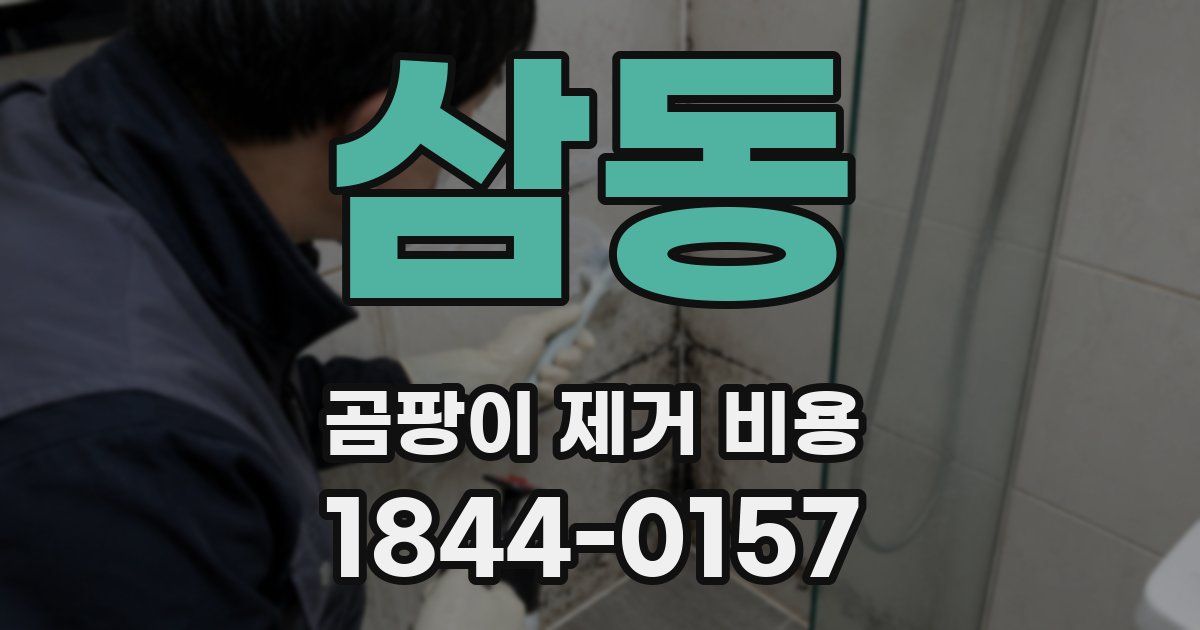 삼동 곰팡이 제거 비용
