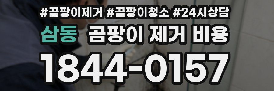 삼동 곰팡이 제거 비용