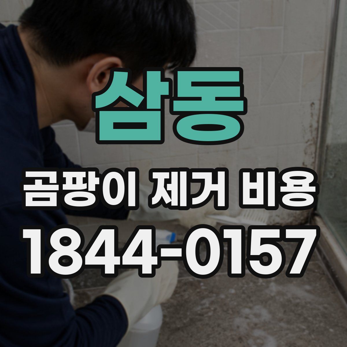 삼동 곰팡이 제거 비용