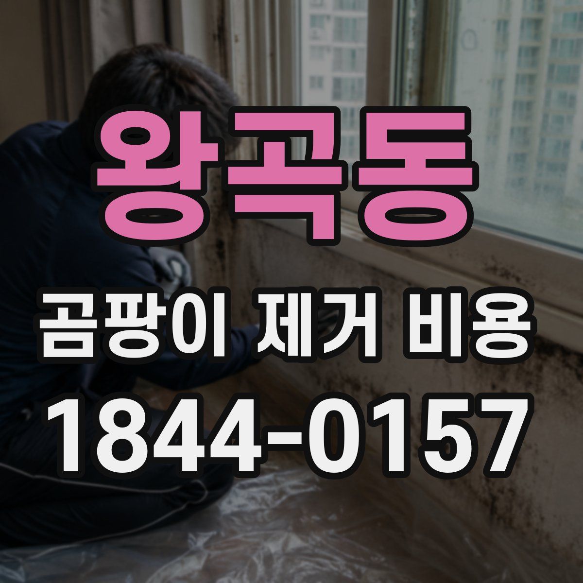 왕곡동 곰팡이 제거 비용