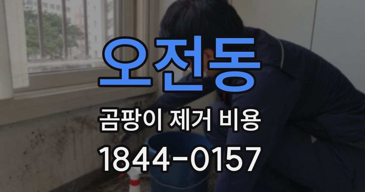 오전동 곰팡이 제거 비용