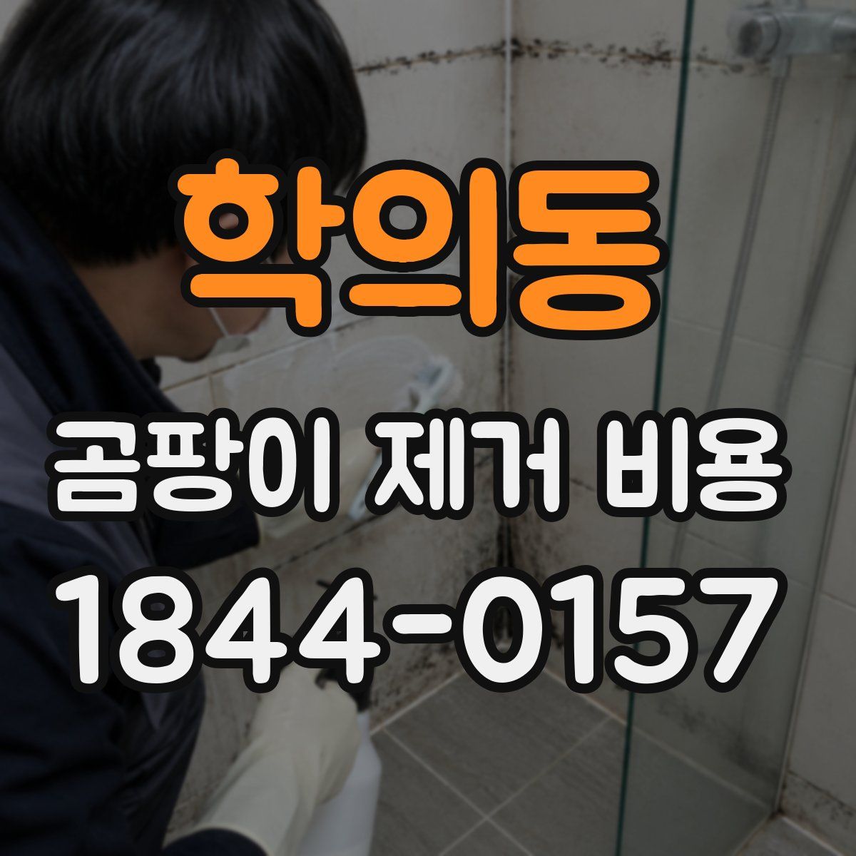 학의동 곰팡이 제거 비용