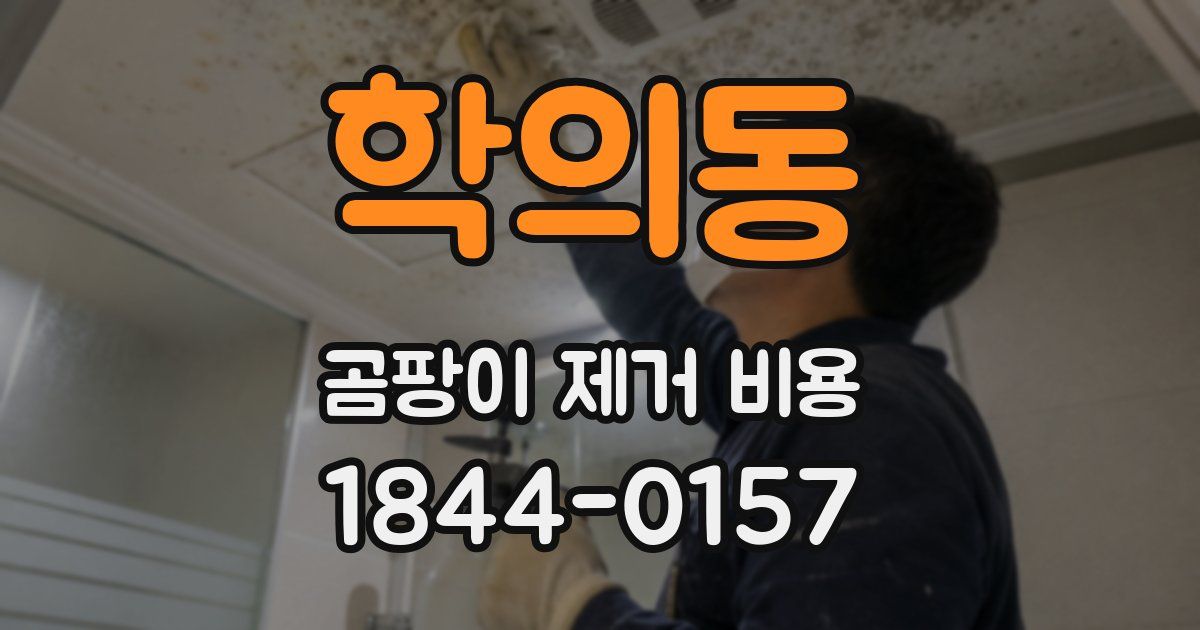 학의동 곰팡이 제거 비용