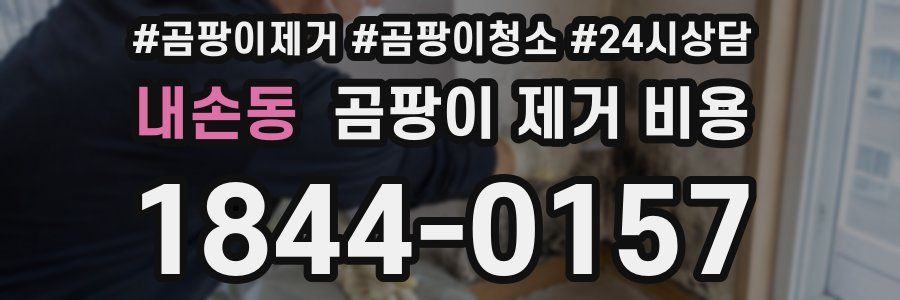 내손동 곰팡이 제거 비용