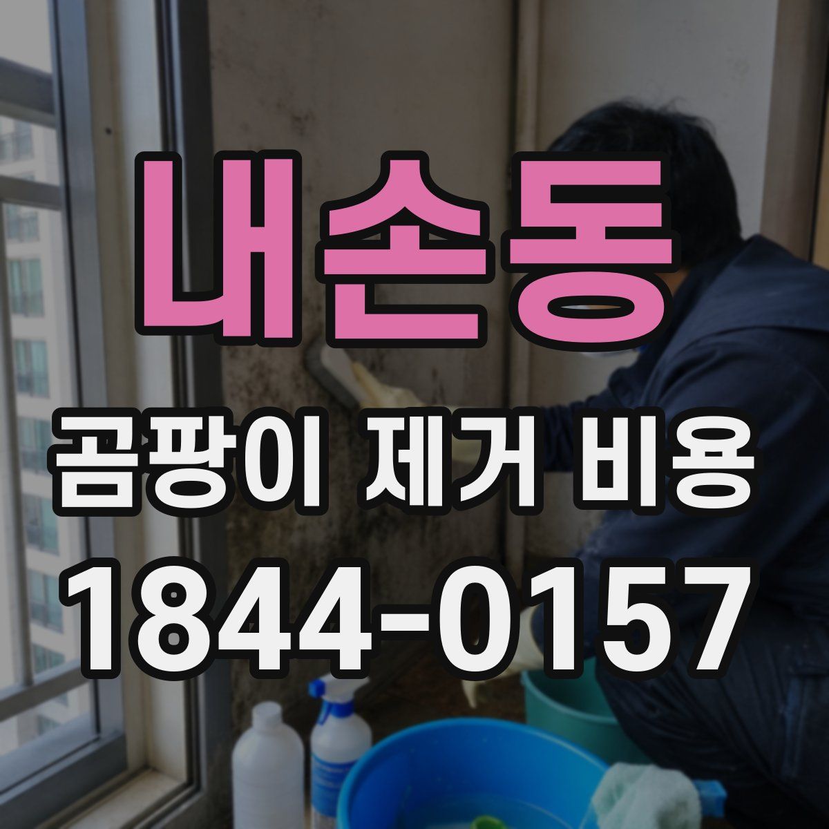 내손동 곰팡이 제거 비용