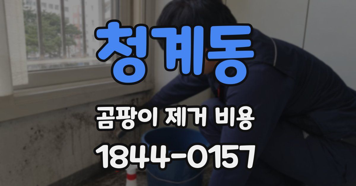 청계동 곰팡이 제거 비용