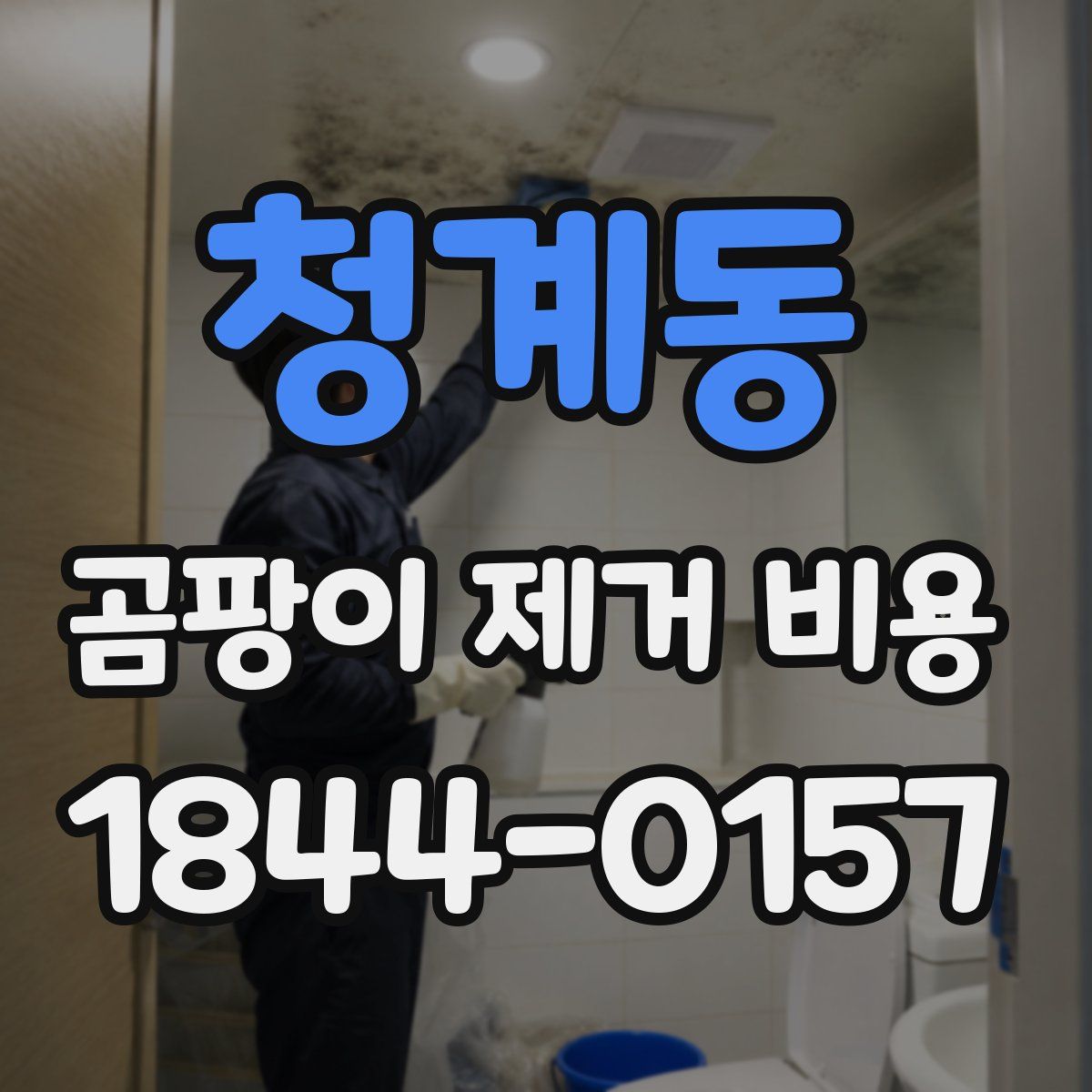 청계동 곰팡이 제거 비용