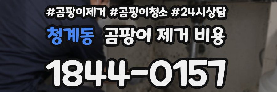 청계동 곰팡이 제거 비용