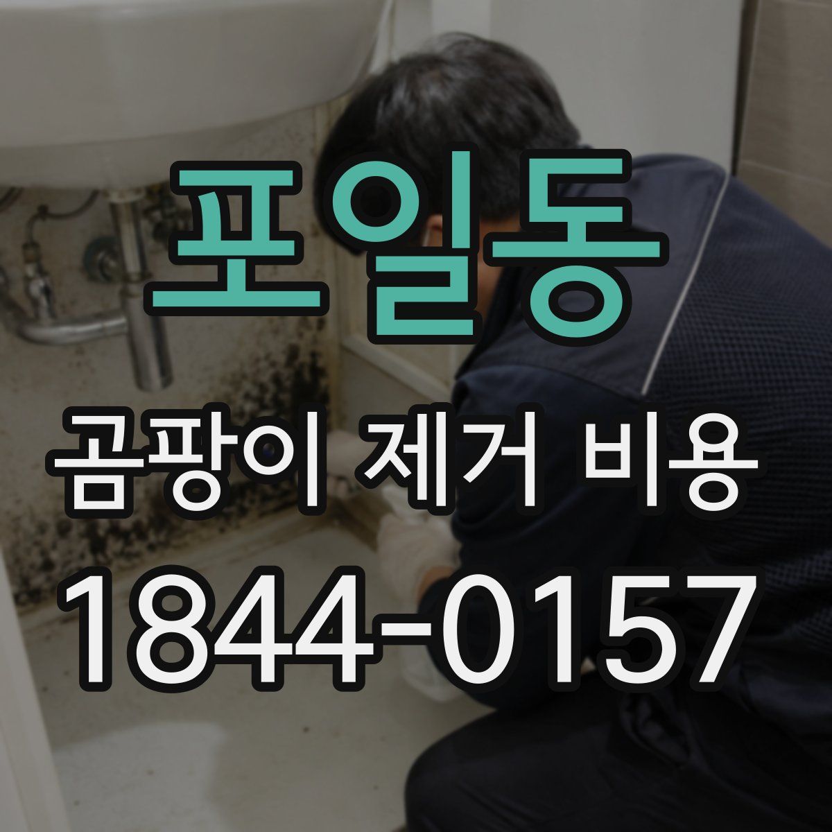 포일동 곰팡이 제거 비용