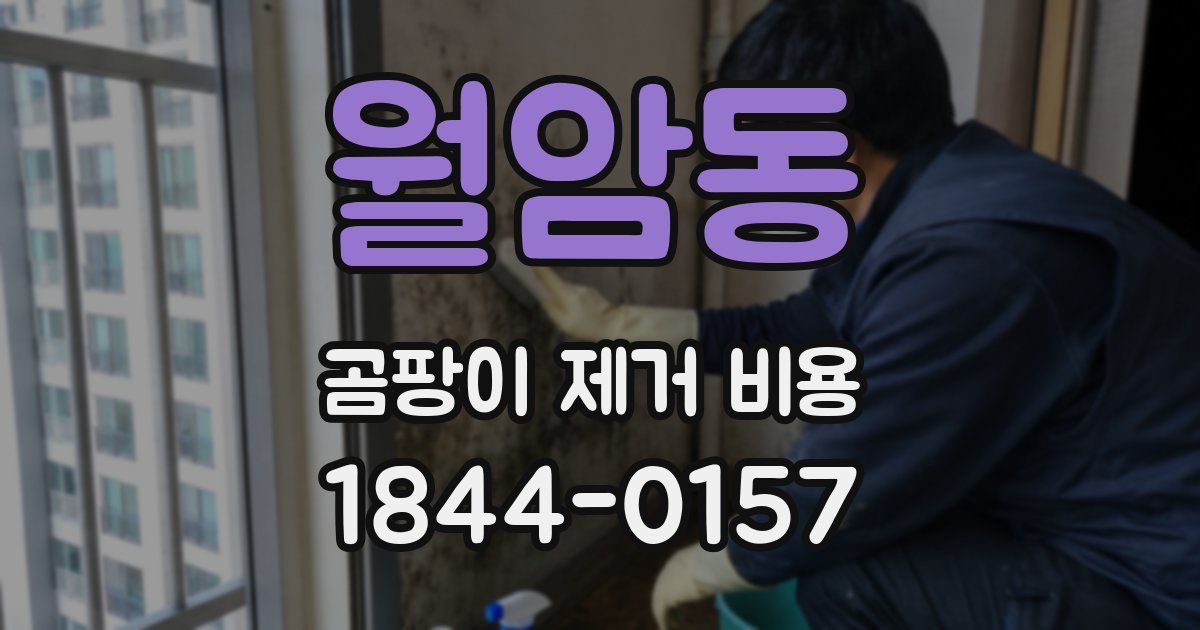 월암동 곰팡이 제거 비용