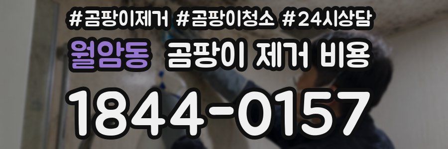 월암동 곰팡이 제거 비용