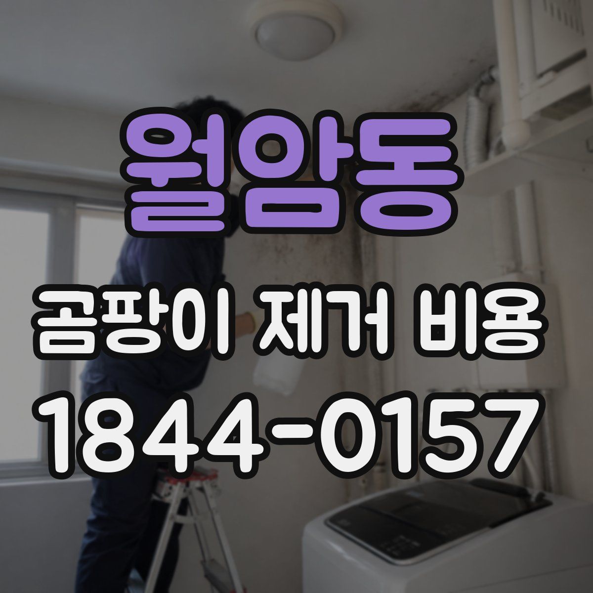 월암동 곰팡이 제거 비용