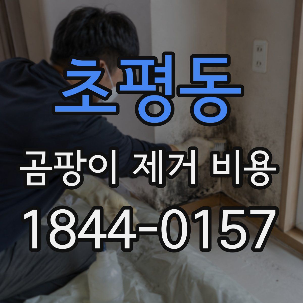 초평동 곰팡이 제거 비용