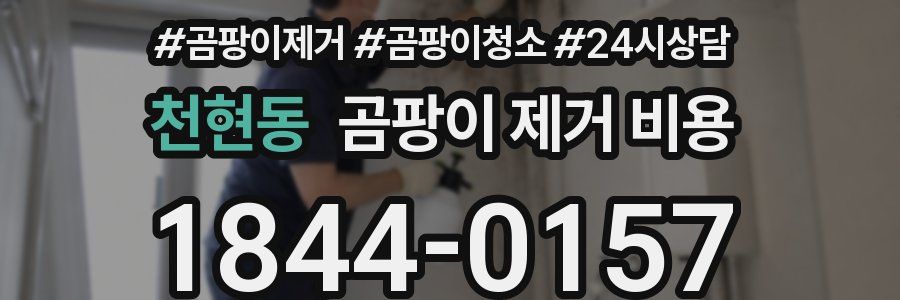 천현동 곰팡이 제거 비용