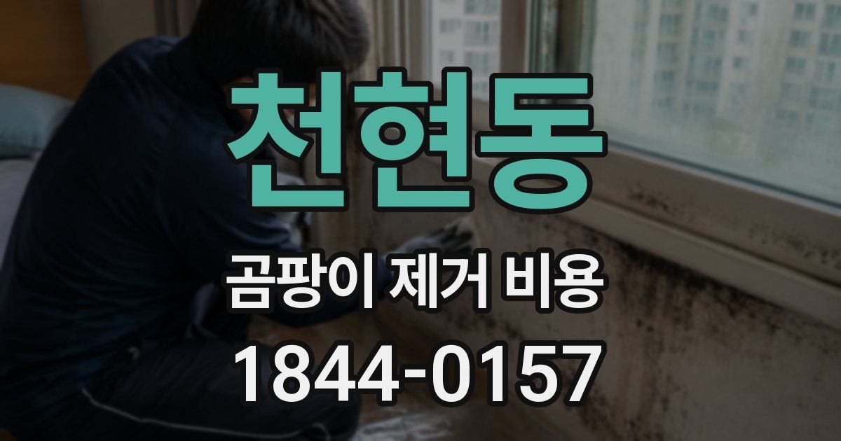 천현동 곰팡이 제거 비용