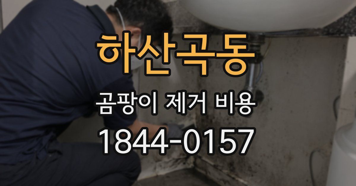 하산곡동 곰팡이 제거 비용
