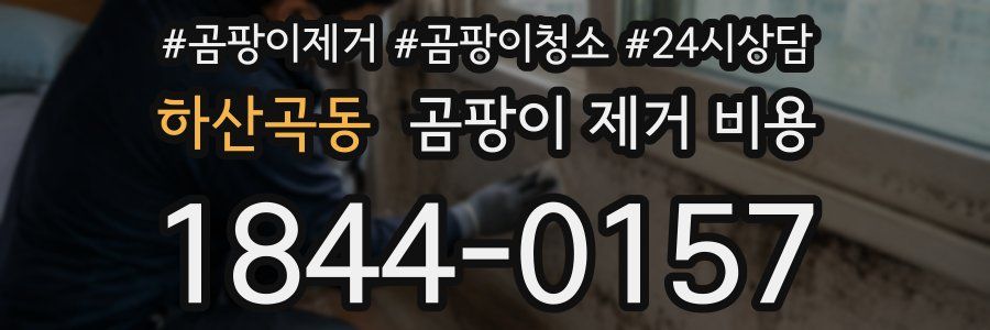하산곡동 곰팡이 제거 비용