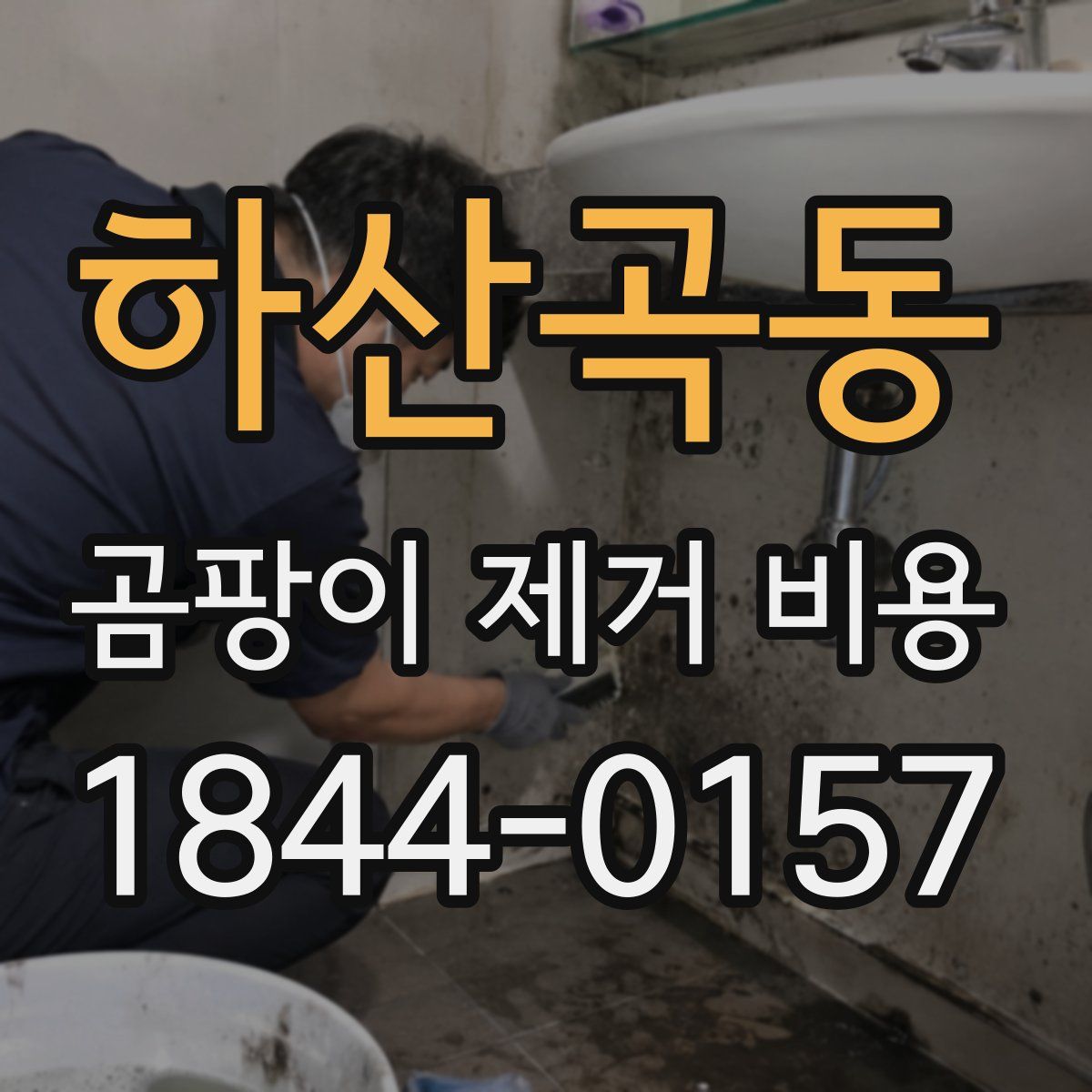 하산곡동 곰팡이 제거 비용
