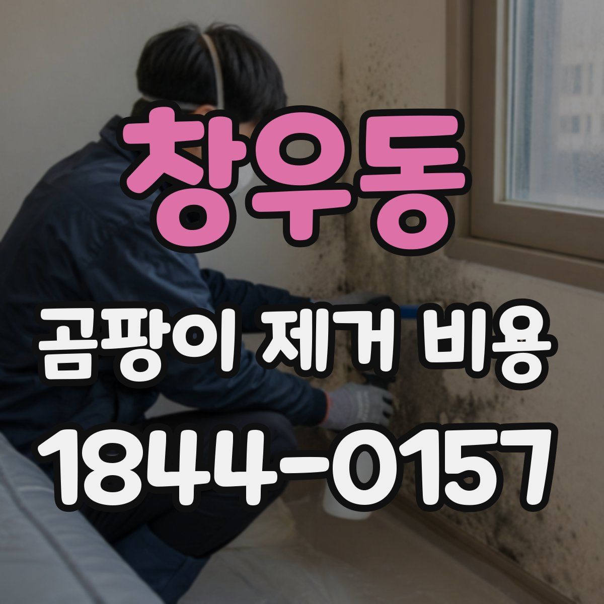 창우동 곰팡이 제거 비용