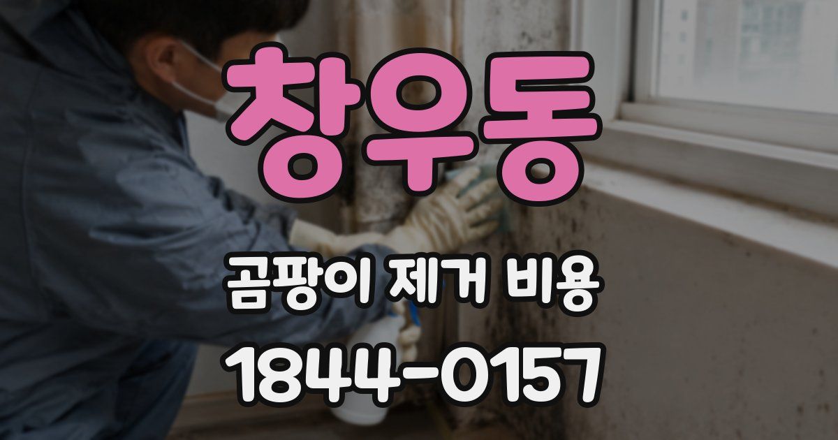 창우동 곰팡이 제거 비용