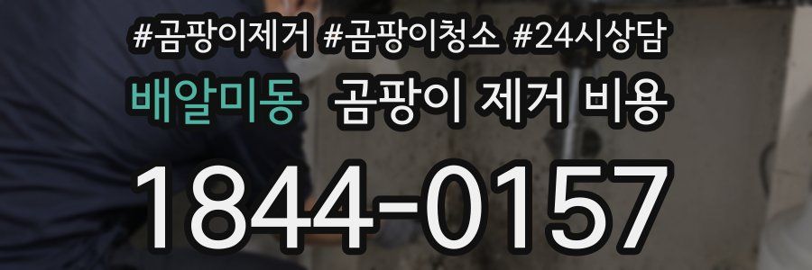 배알미동 곰팡이 제거 비용