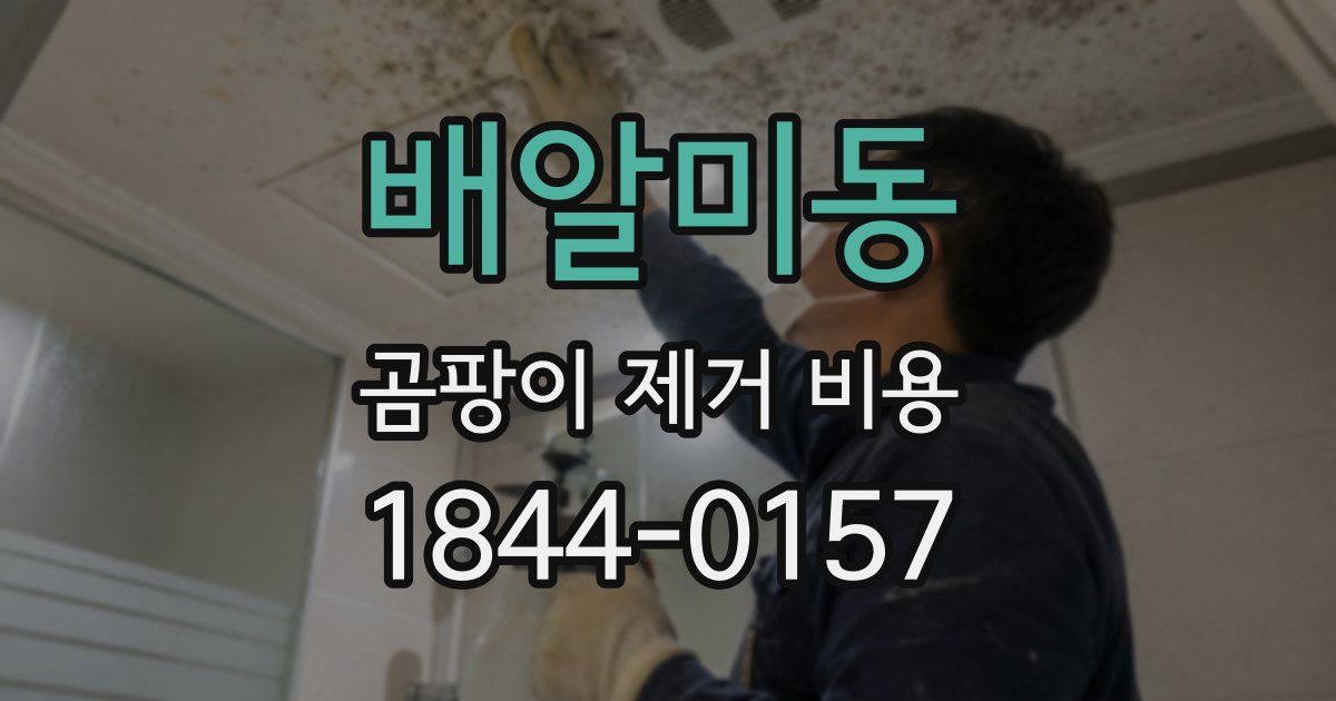 배알미동 곰팡이 제거 비용