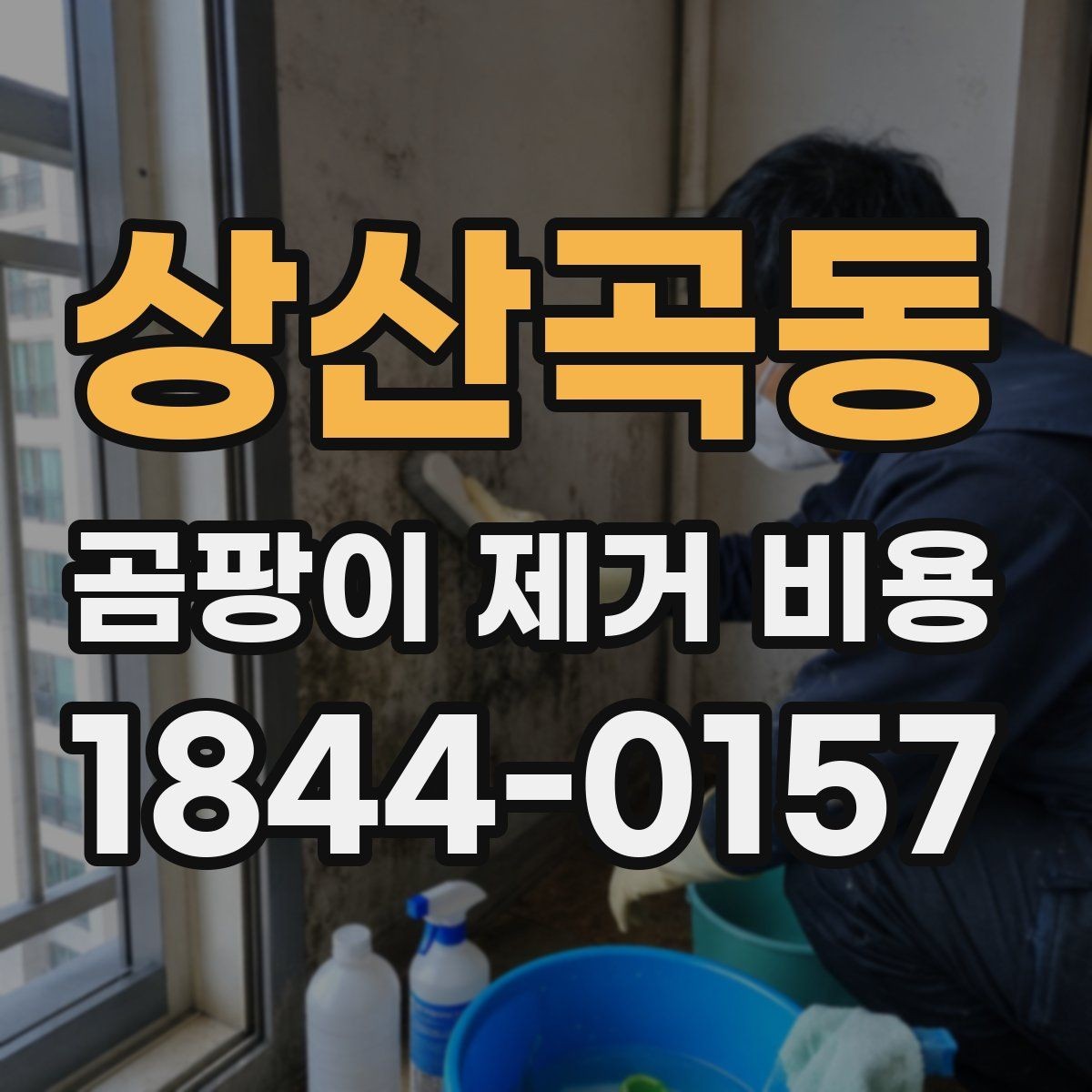 상산곡동 곰팡이 제거 비용 실내 습도 문제 해결까지 포함될 때
