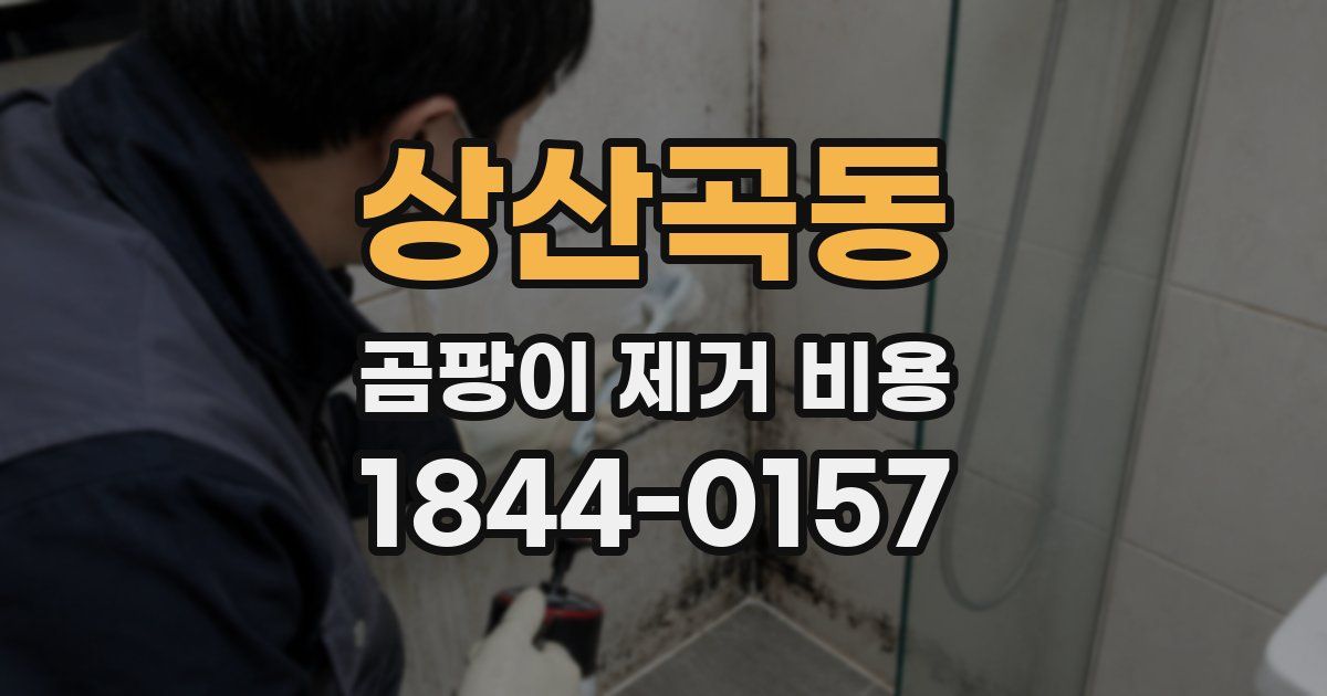 상산곡동 곰팡이 제거 비용