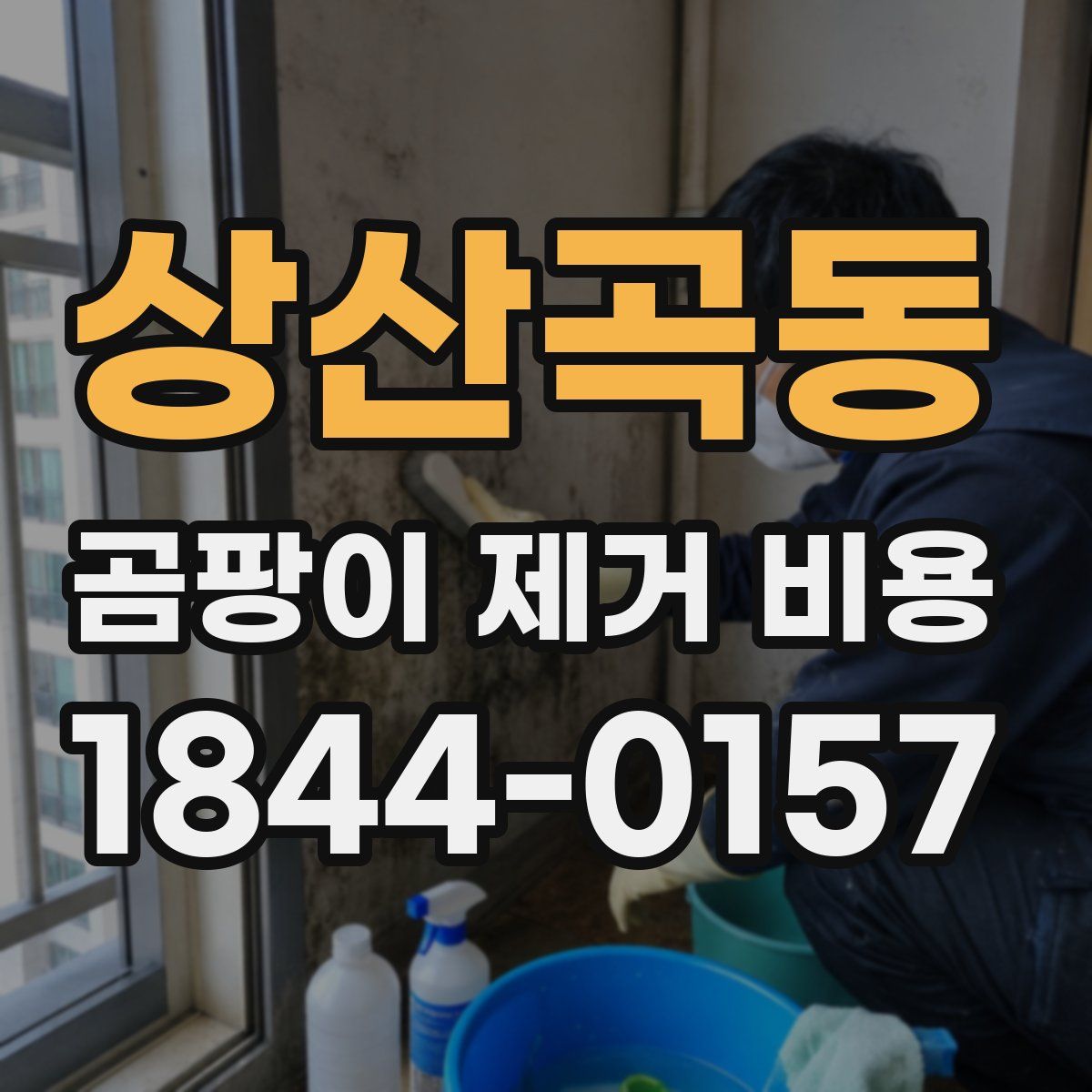 상산곡동 곰팡이 제거 비용