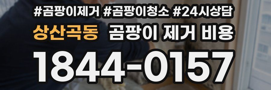 상산곡동 곰팡이 제거 비용
