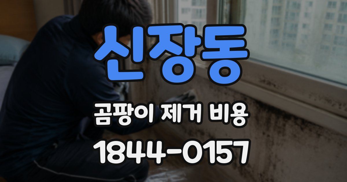 신장동 곰팡이 제거 비용