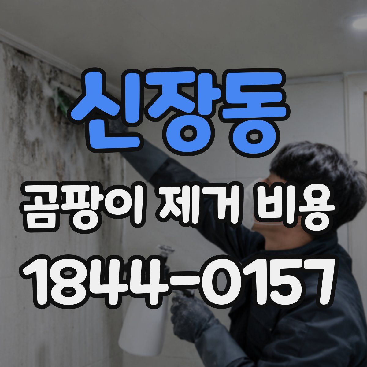 신장동 곰팡이 제거 비용