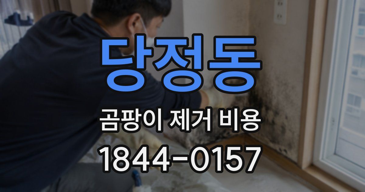 당정동 곰팡이 제거 비용