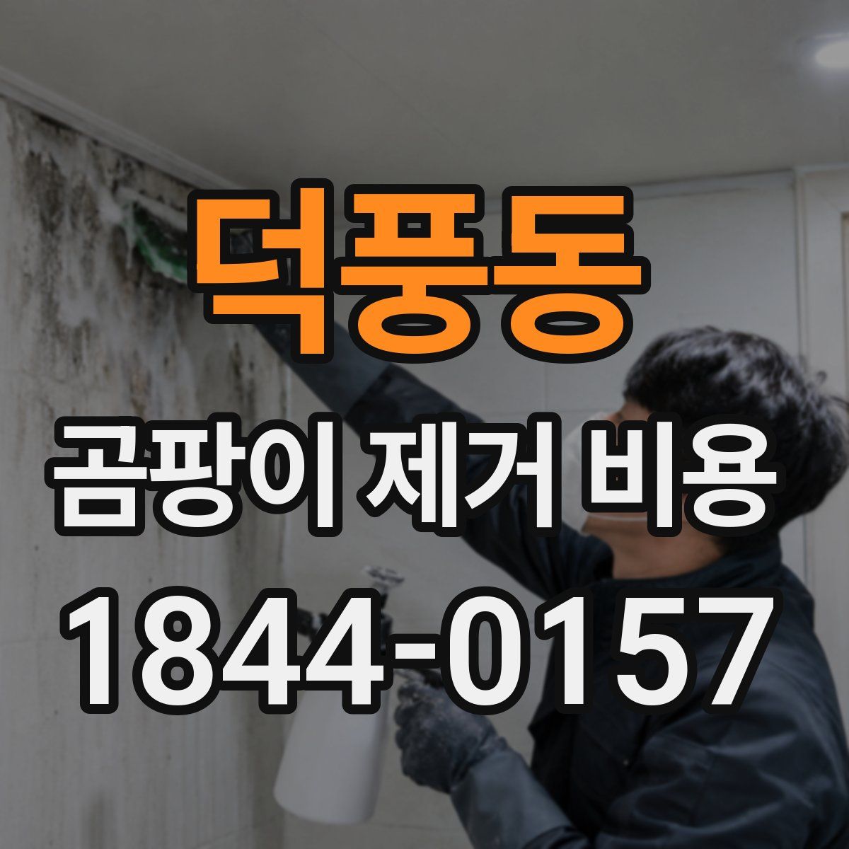 덕풍동 곰팡이 제거 비용