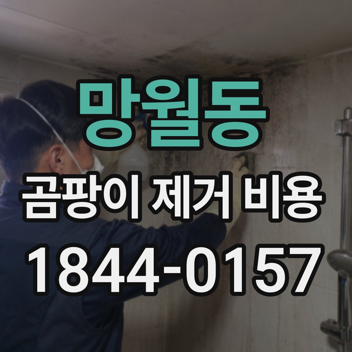 망월동 곰팡이 제거 비용
