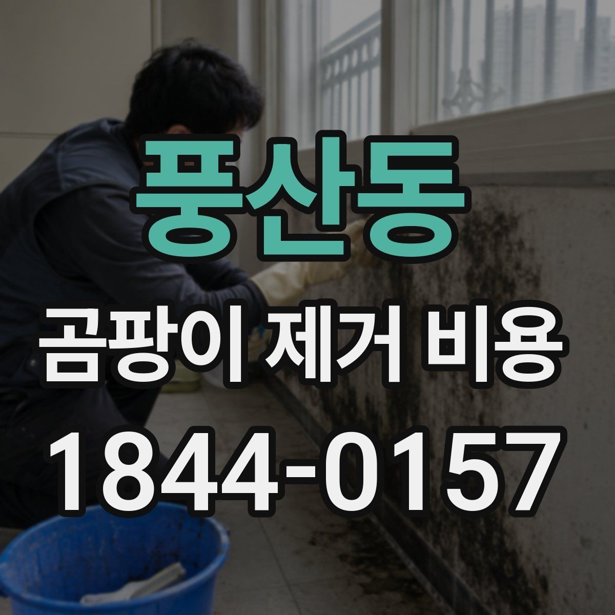 풍산동 곰팡이 제거 비용 항균 마감까지 진행할 때 구성 살펴보기