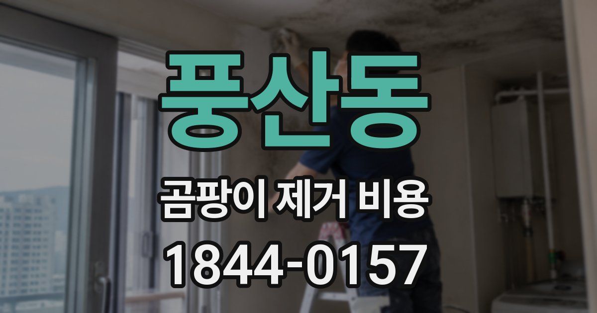 풍산동 곰팡이 제거 비용