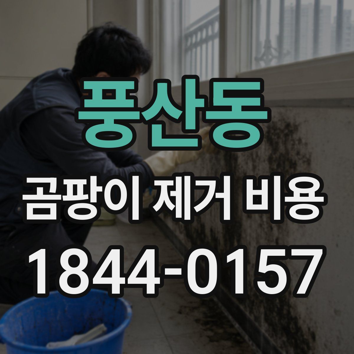 풍산동 곰팡이 제거 비용