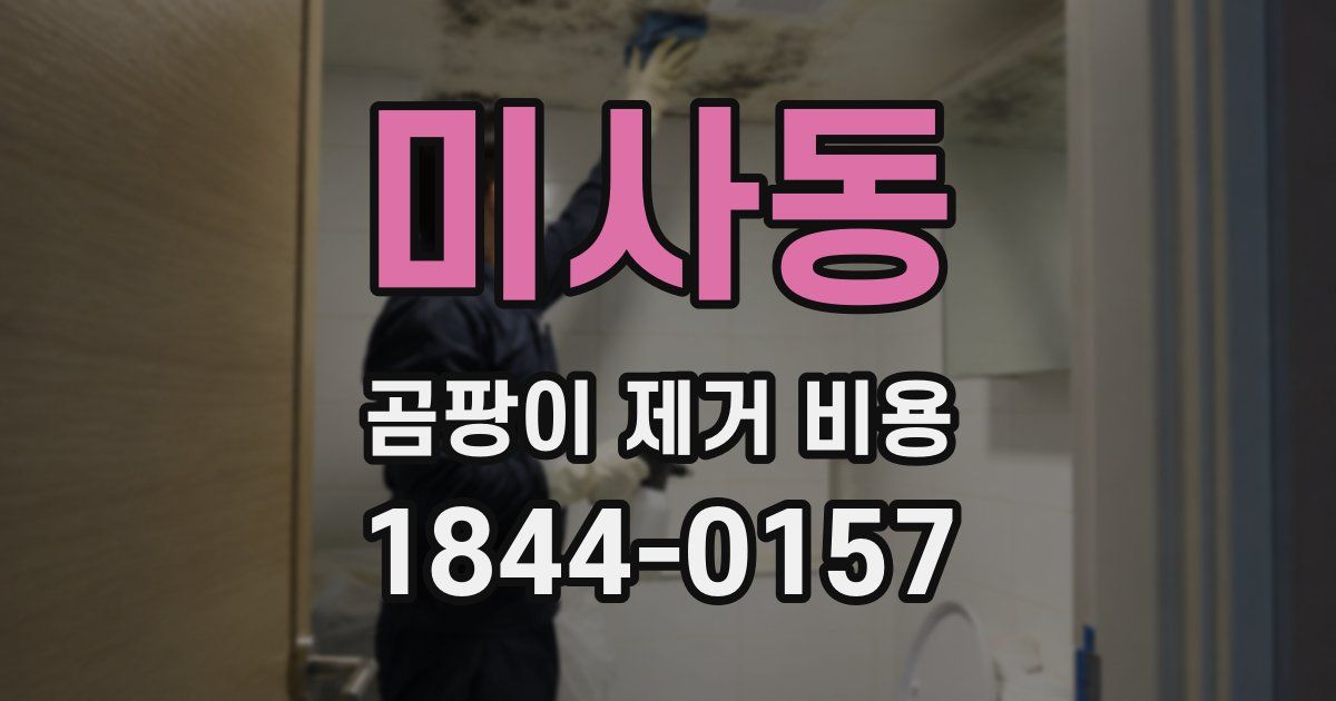 미사동 곰팡이 제거 비용