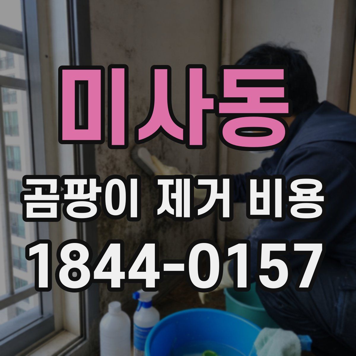 미사동 곰팡이 제거 비용