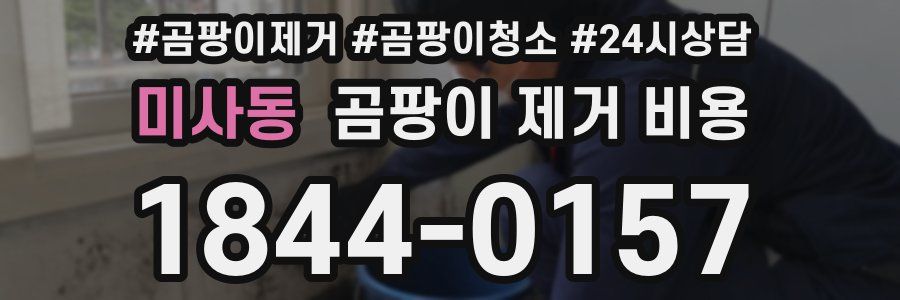 미사동 곰팡이 제거 비용