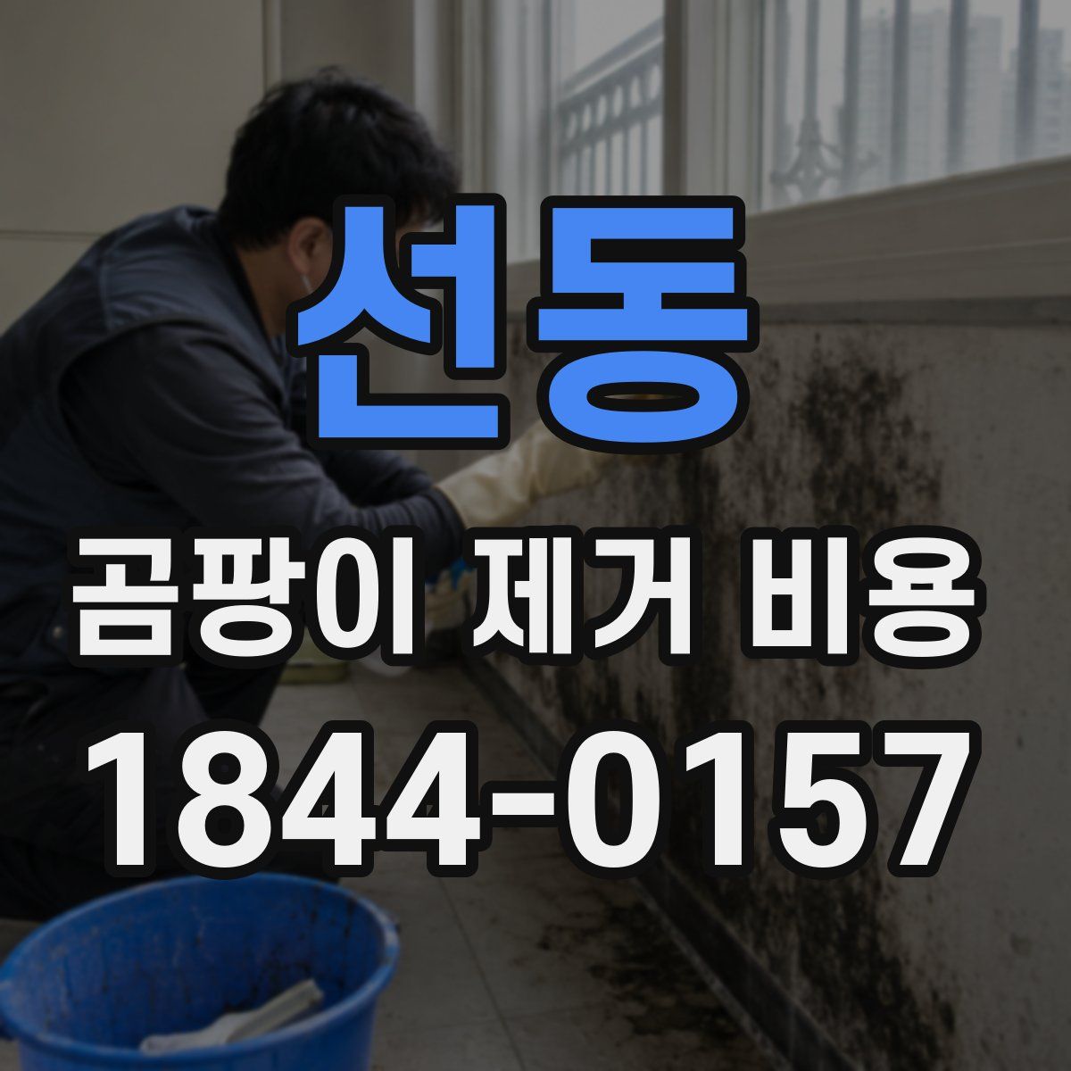 선동 곰팡이 제거 비용
